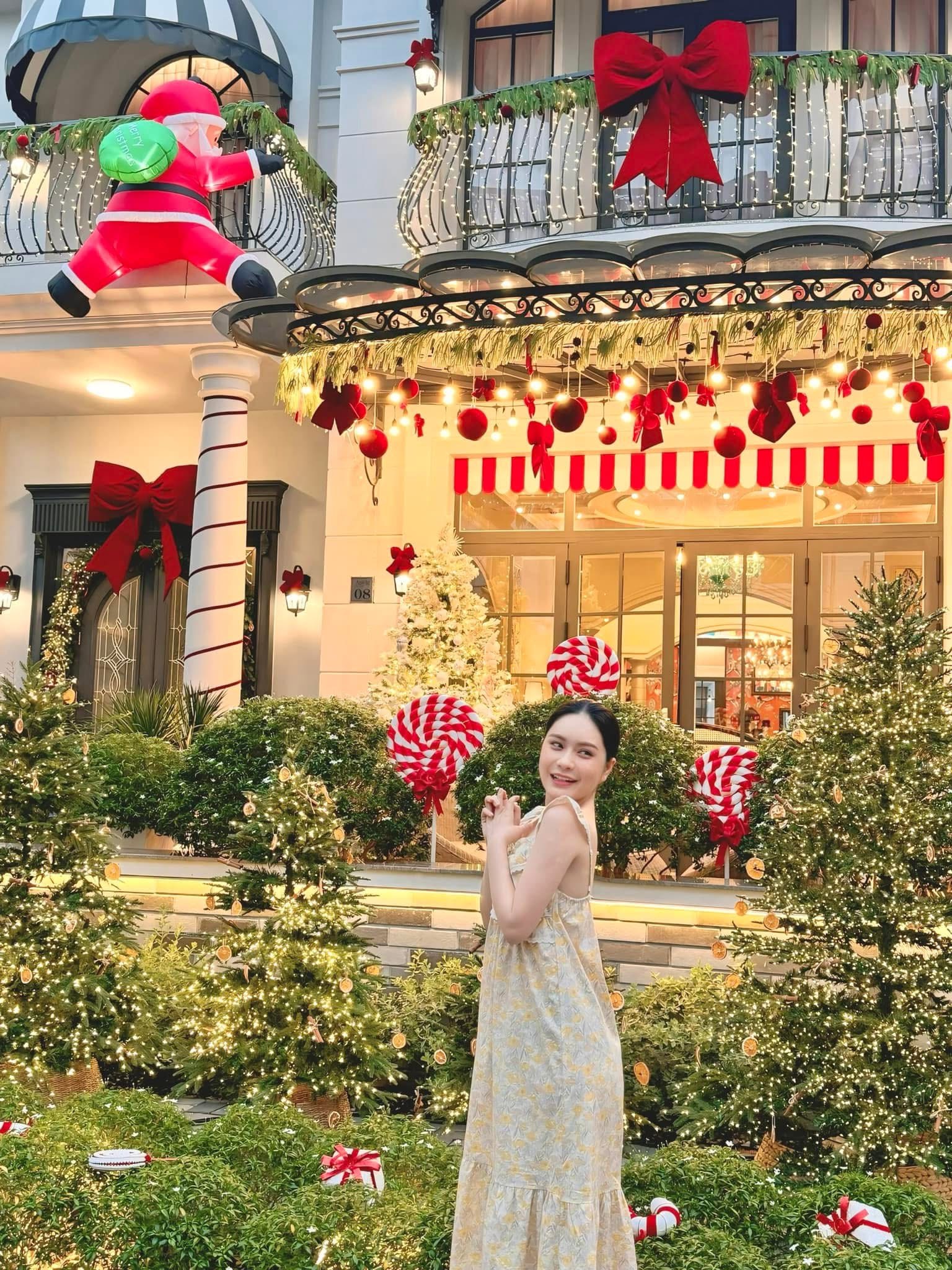 BST túi hàng hiệu của Đoàn Di Băng: Hermès đựng cún cưng, Dior và Chanel để đi chợ- Ảnh 6.