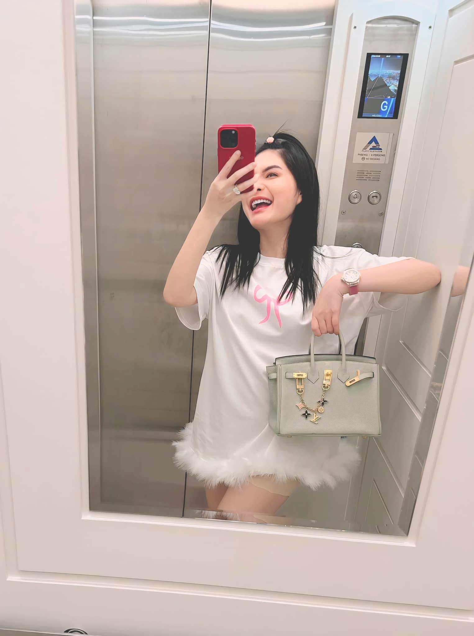 BST túi hàng hiệu của Đoàn Di Băng: Hermès đựng cún cưng, Dior và Chanel để đi chợ- Ảnh 12.