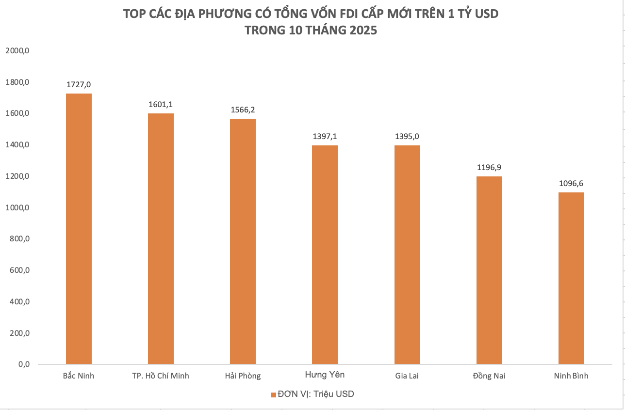 photo-1762396298746 photo-1762396298746