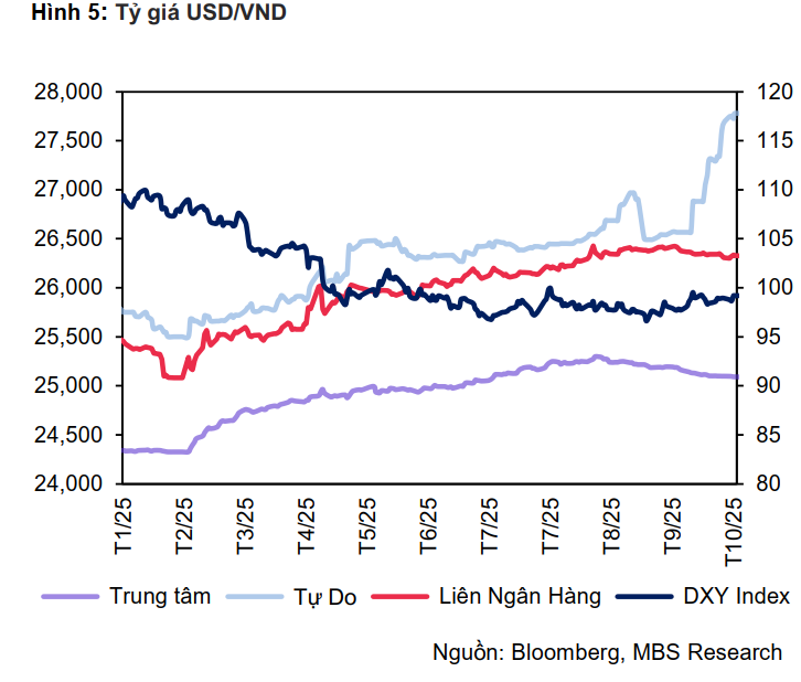 Tỷ giá USD chợ đen tăng hơn 8% từ đầu năm, riêng tháng 10 tăng 4,7%- Ảnh 2. Tỷ giá USD chợ đen tăng hơn 8% từ đầu năm, riêng tháng 10 tăng 4,7%- Ảnh 2.