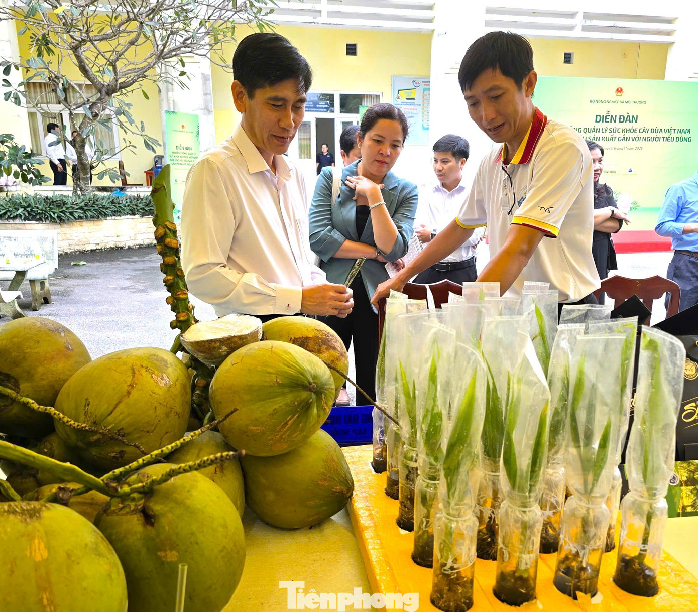 Từ loài cây ít giá trị nay trở thành 'ngôi sao' xuất khẩu của Việt Nam- Ảnh 1.