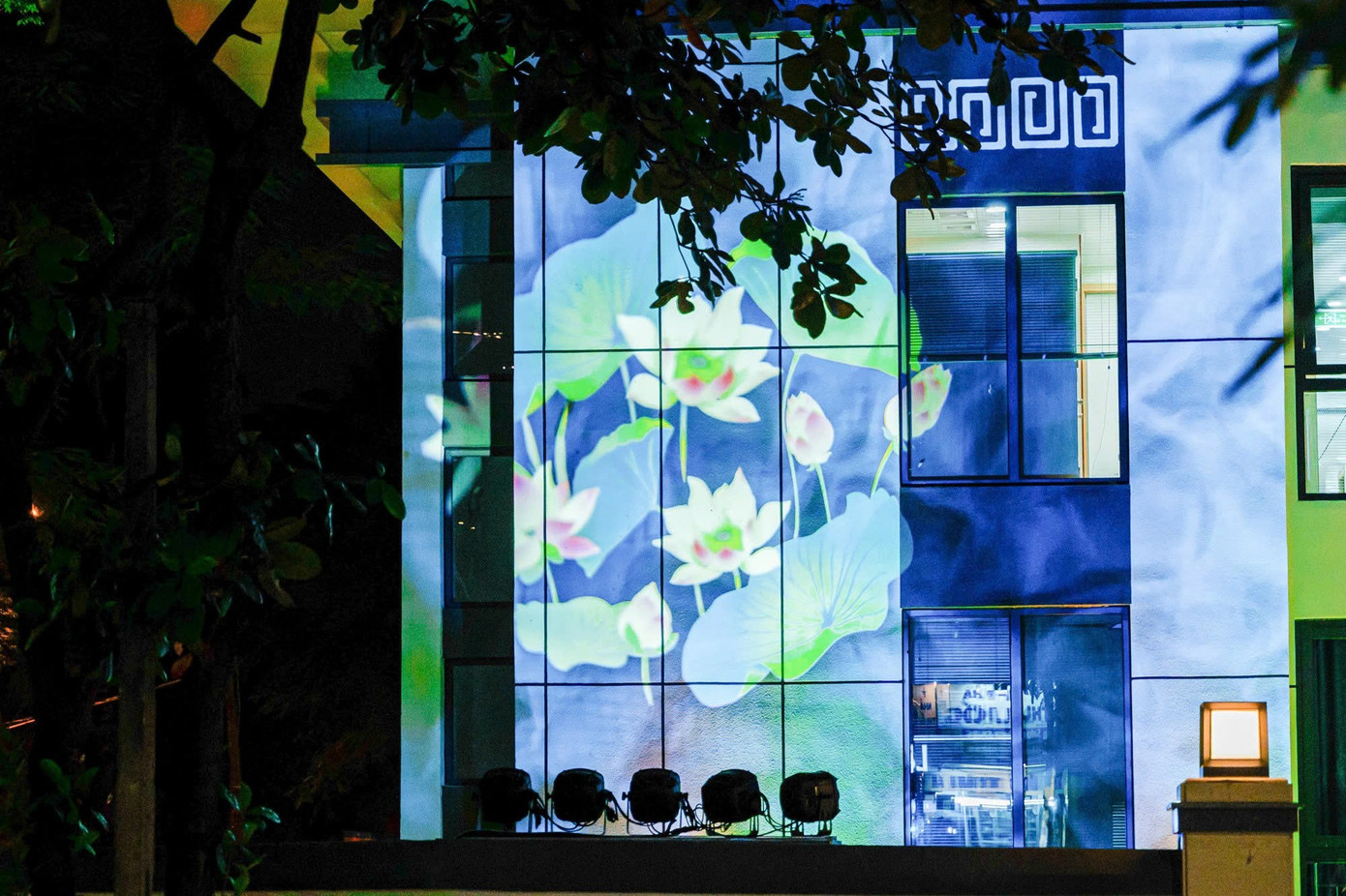 Từ 'ngôi nhà hoang', khu nhà 300 Kim Mã lột xác lung linh giữa Hà Nội- Ảnh 17.