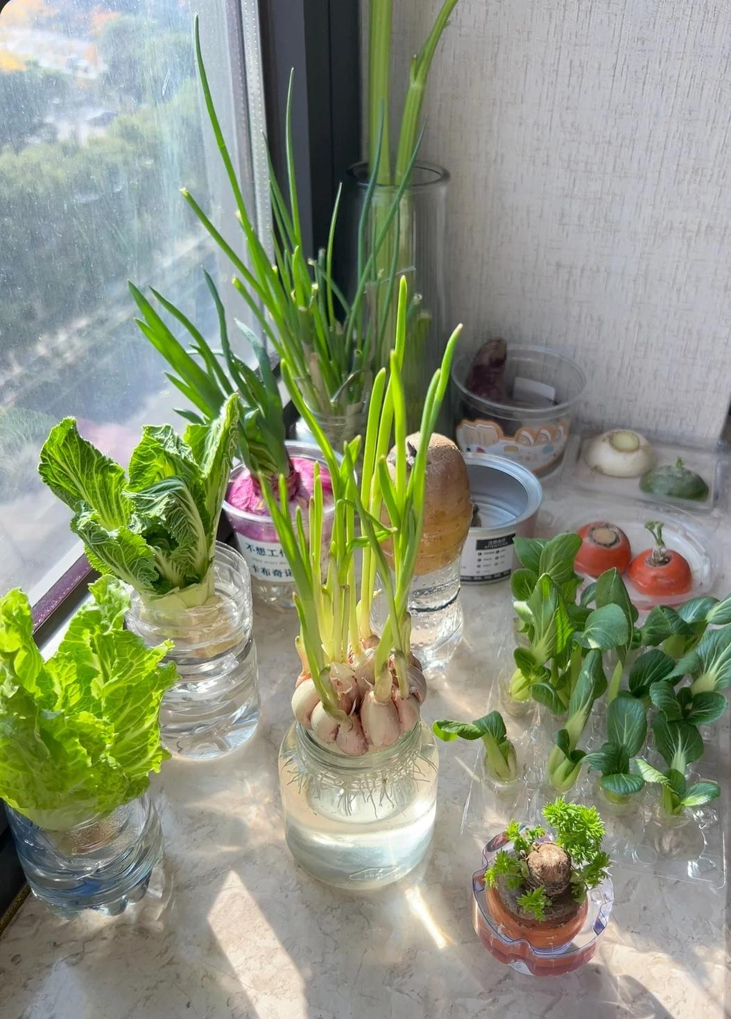 12 mẹo “nhỏ mà đỉnh” của người phụ nữ 57 tuổi khiến ai cũng phải nể: Quản lý khéo đến mức muốn học theo ngay!- Ảnh 1. 12 mẹo “nhỏ mà đỉnh” của người phụ nữ 57 tuổi khiến ai cũng phải nể: Quản lý khéo đến mức muốn học theo ngay!- Ảnh 1.