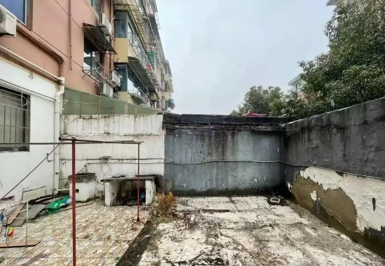 36 tuổi vẫn không kết hôn, người phụ nữ cải tạo đống đổ nát thành nhà đẹp như mộng: 36 tuổi vẫn không kết hôn, người phụ nữ cải tạo đống đổ nát thành nhà đẹp như mộng: