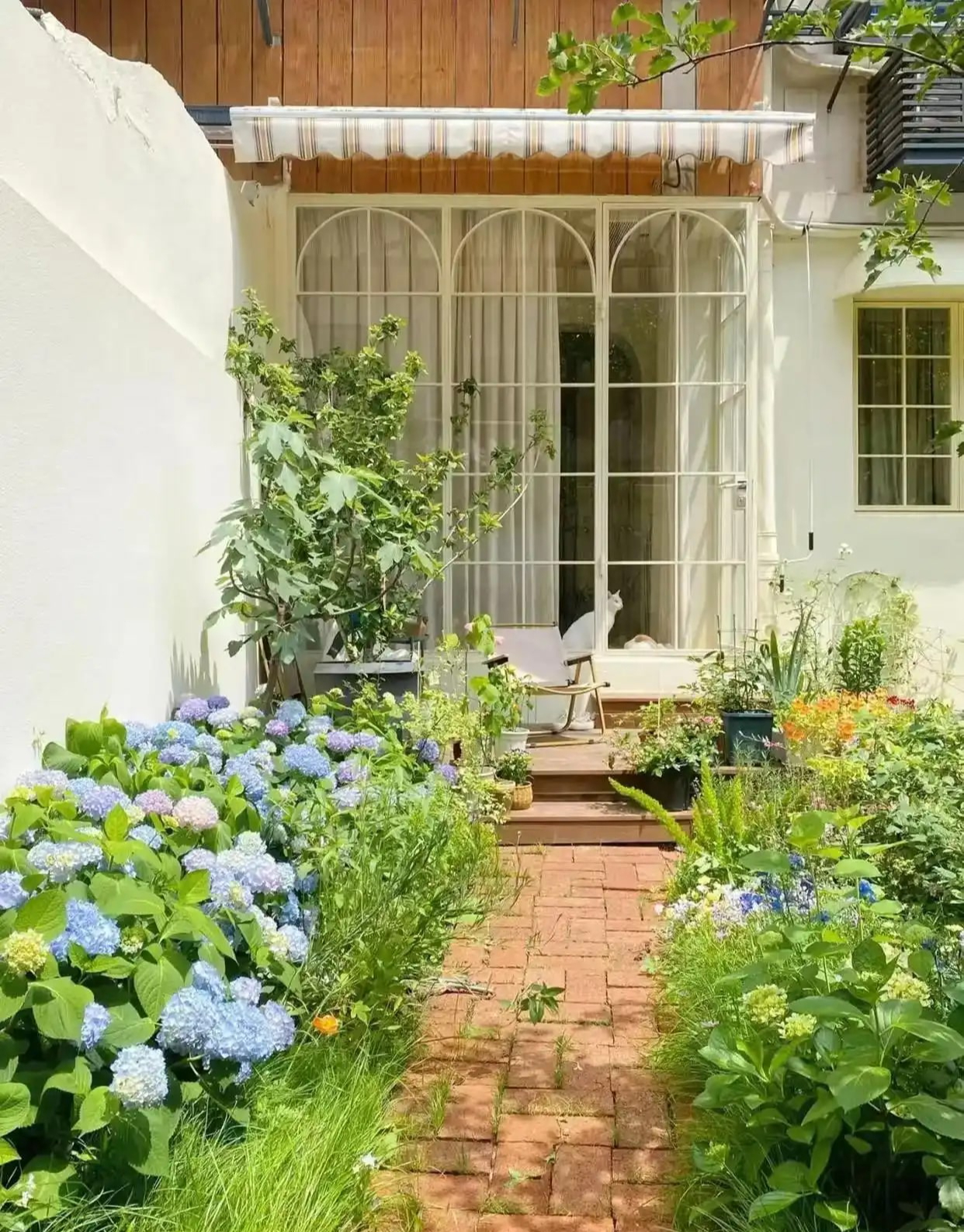 36 tuổi vẫn không kết hôn, người phụ nữ cải tạo đống đổ nát thành nhà đẹp như mộng: 36 tuổi vẫn không kết hôn, người phụ nữ cải tạo đống đổ nát thành nhà đẹp như mộng: