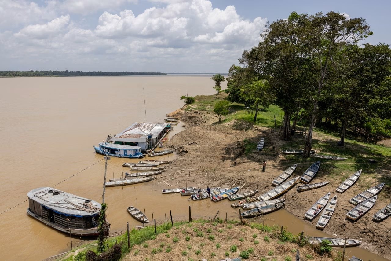 Không phải vàng hay dầu, nền kinh tế trên 200 triệu dân săn lùng ‘kho báu’ trải dài 400 km sâu dưới rừng nhằm dắt lưng 'vũ khí' giữa thương chiến, Trung Quốc ngỏ ý tham gia- Ảnh 1.