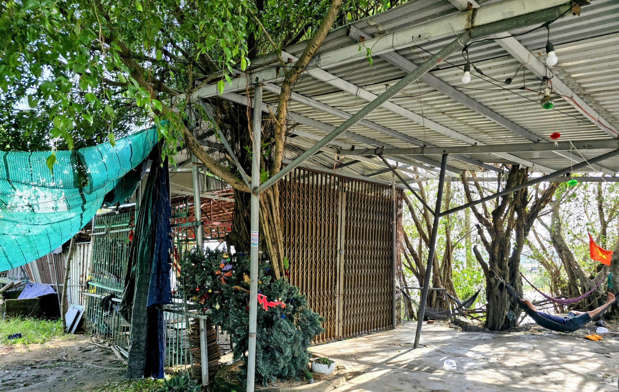 Cầu gỗ Ông Cọp "biến mất" sau bão số 13- Ảnh 2. Cầu gỗ Ông Cọp "biến mất" sau bão số 13- Ảnh 2.