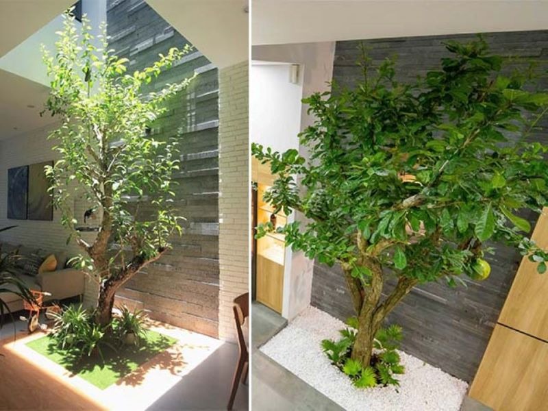 3 dấu hiệu dự báo Thần Tài đến nhà, gia chủ trúng mánh giàu to- Ảnh 2. 3 dấu hiệu dự báo Thần Tài đến nhà, gia chủ trúng mánh giàu to- Ảnh 2.