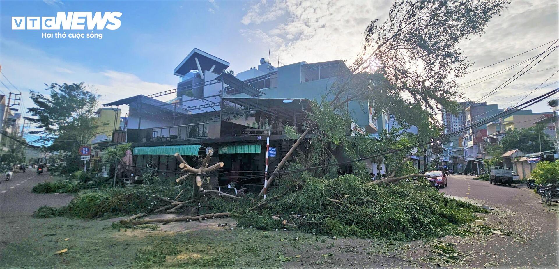 Sáng nay, Quy Nhơn thức dậy trong hoang tàn- Ảnh 2.