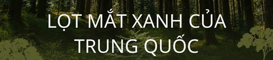 Không phải vàng hay dầu, nền kinh tế trên 200 triệu dân săn lùng ‘kho báu’ trải dài 400 km sâu dưới rừng nhằm dắt lưng 'vũ khí' giữa thương chiến, Trung Quốc ngỏ ý tham gia- Ảnh 5.