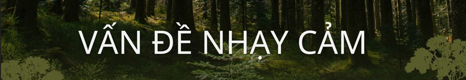 Không phải vàng hay dầu, nền kinh tế trên 200 triệu dân săn lùng ‘kho báu’ trải dài 400 km sâu dưới rừng nhằm dắt lưng 'vũ khí' giữa thương chiến, Trung Quốc ngỏ ý tham gia- Ảnh 7.