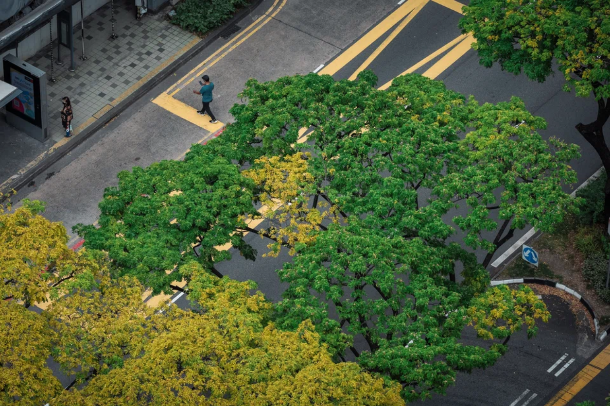 Bài toán 1,3 ngàn tỉ USD của Liên hợp quốc- Ảnh 1. Bài toán 1,3 ngàn tỉ USD của Liên hợp quốc- Ảnh 1.