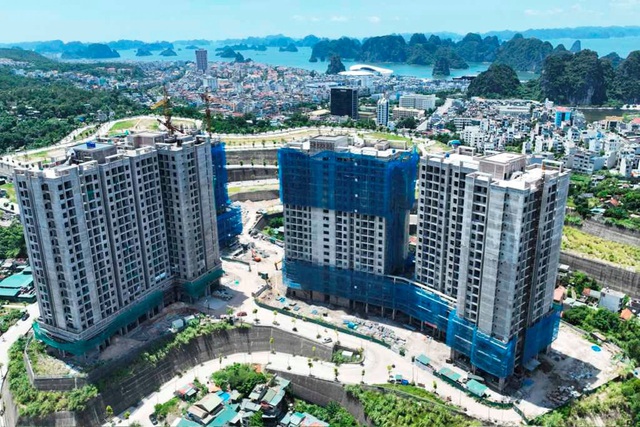 Tin vui cho hàng nghìn người dân tại Quảng Ninh- Ảnh 1. Tin vui cho hàng nghìn người dân tại Quảng Ninh- Ảnh 1.