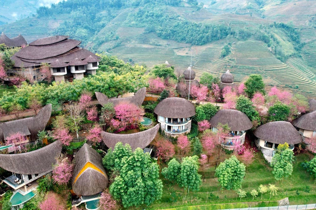 photo-1762489513843 photo-1762489513843