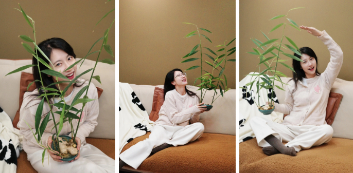 Thú trồng gừng bonsai trải dài từ MXH Trung về đến MXH Việt, ai cũng mê mẩn vì vừa làm sạch không khí vừa "hút tài lộc ầm ầm"- Ảnh 1.