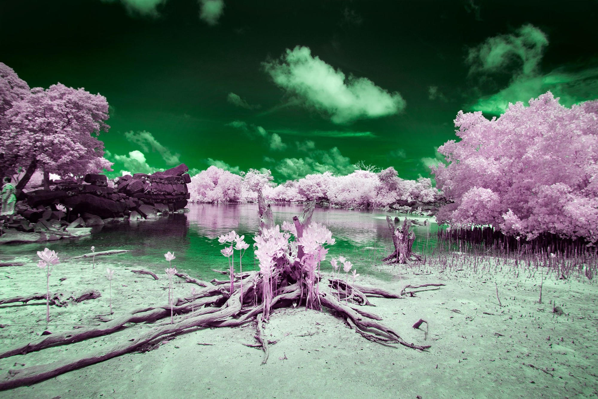 Bí ẩn 'hòn đảo mù màu' giữa Thái Bình Dương: Nơi cư dân chỉ nhìn thấy thế giới trong hai màu đen trắng- Ảnh 2.