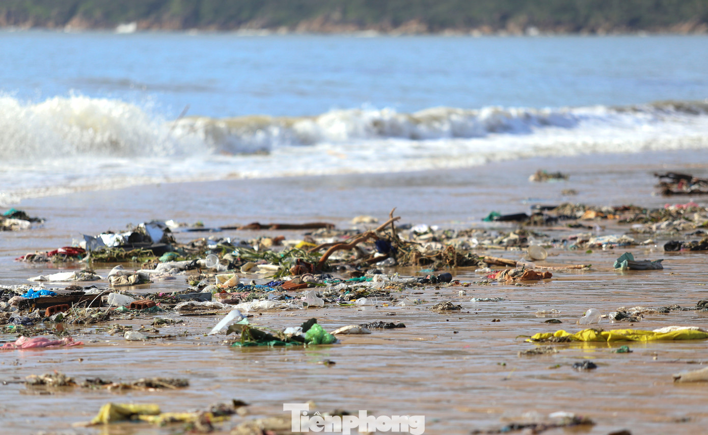Bãi biển Quy Nhơn ngập rác sau bão số 13- Ảnh 3.