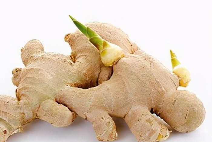 4 loại thực phẩm khi mọc mầm càng tăng giá trị- Ảnh 4.