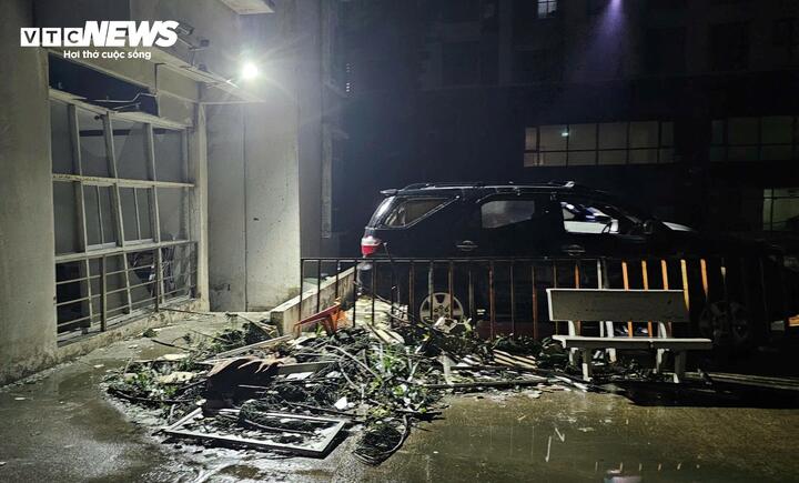 Cảnh tượng đau lòng khi bão số 13 đi qua- Ảnh 2.