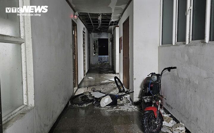 Cảnh tượng đau lòng khi bão số 13 đi qua- Ảnh 4.