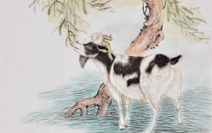 4 con giáp sắp bước vào thời kỳ may mắn vượt bậc, tiền bạc rủng rỉnh, sự nghiệp phất lên như diều gặp gió- Ảnh 3.