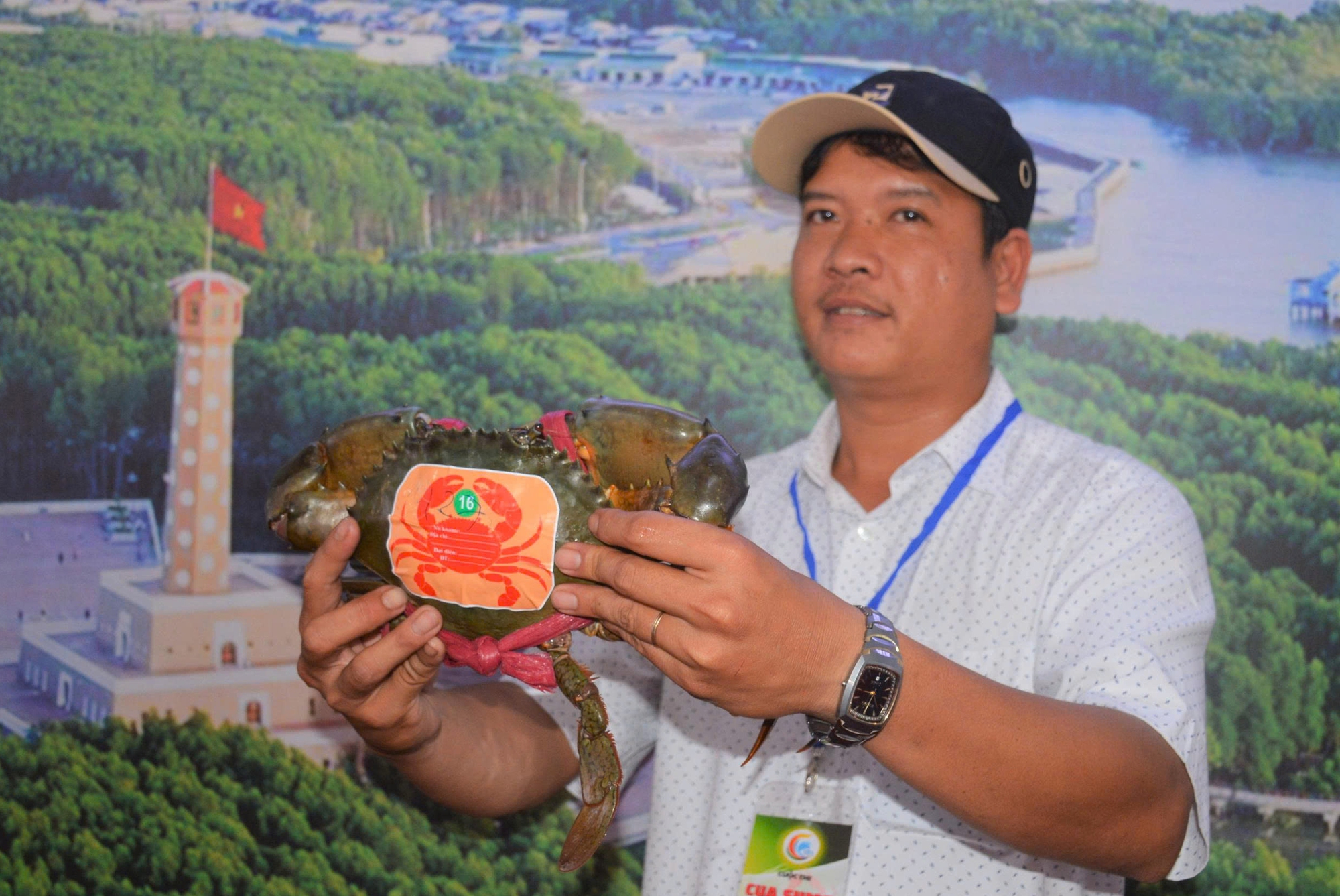 Sắp diễn ra ngày hội cua, cua biển Cà Mau tăng giá mạnh- Ảnh 1.