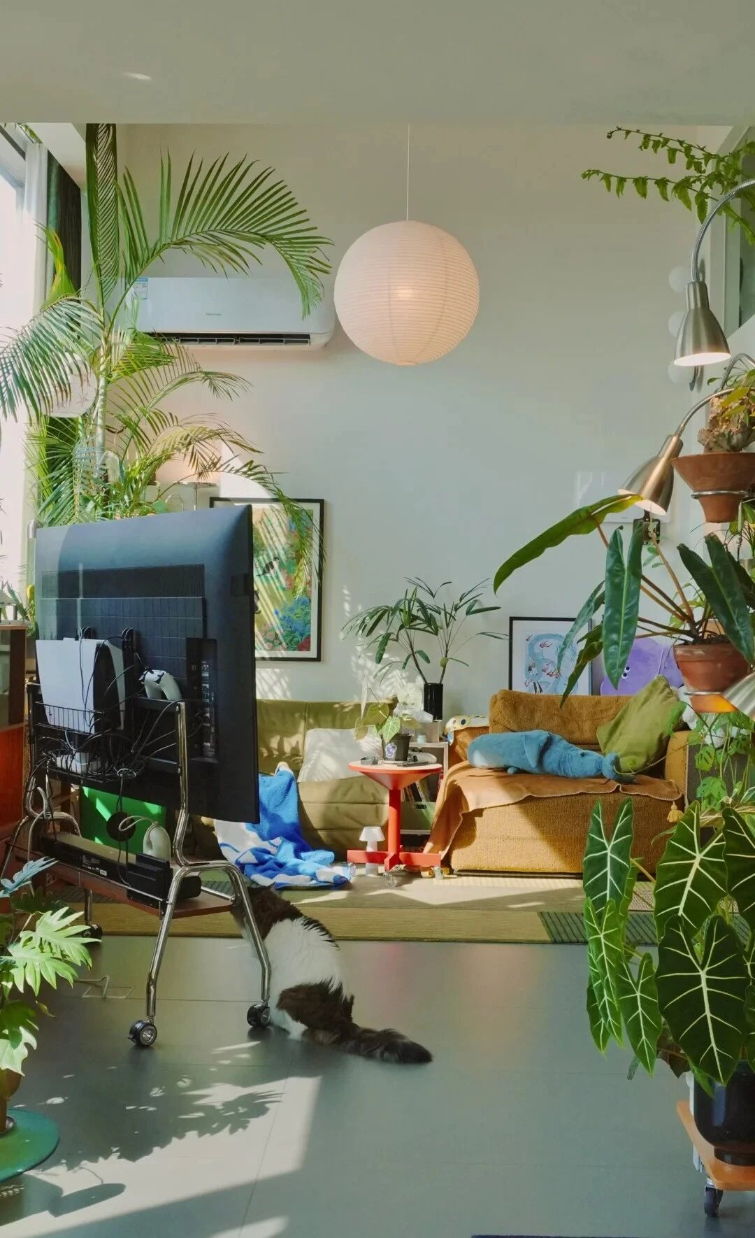 Đây là căn nhà nhiều đồ dùng nhưng gọn nhất mà tôi từng thấy- Ảnh 12. Đây là căn nhà nhiều đồ dùng nhưng gọn nhất mà tôi từng thấy- Ảnh 12.