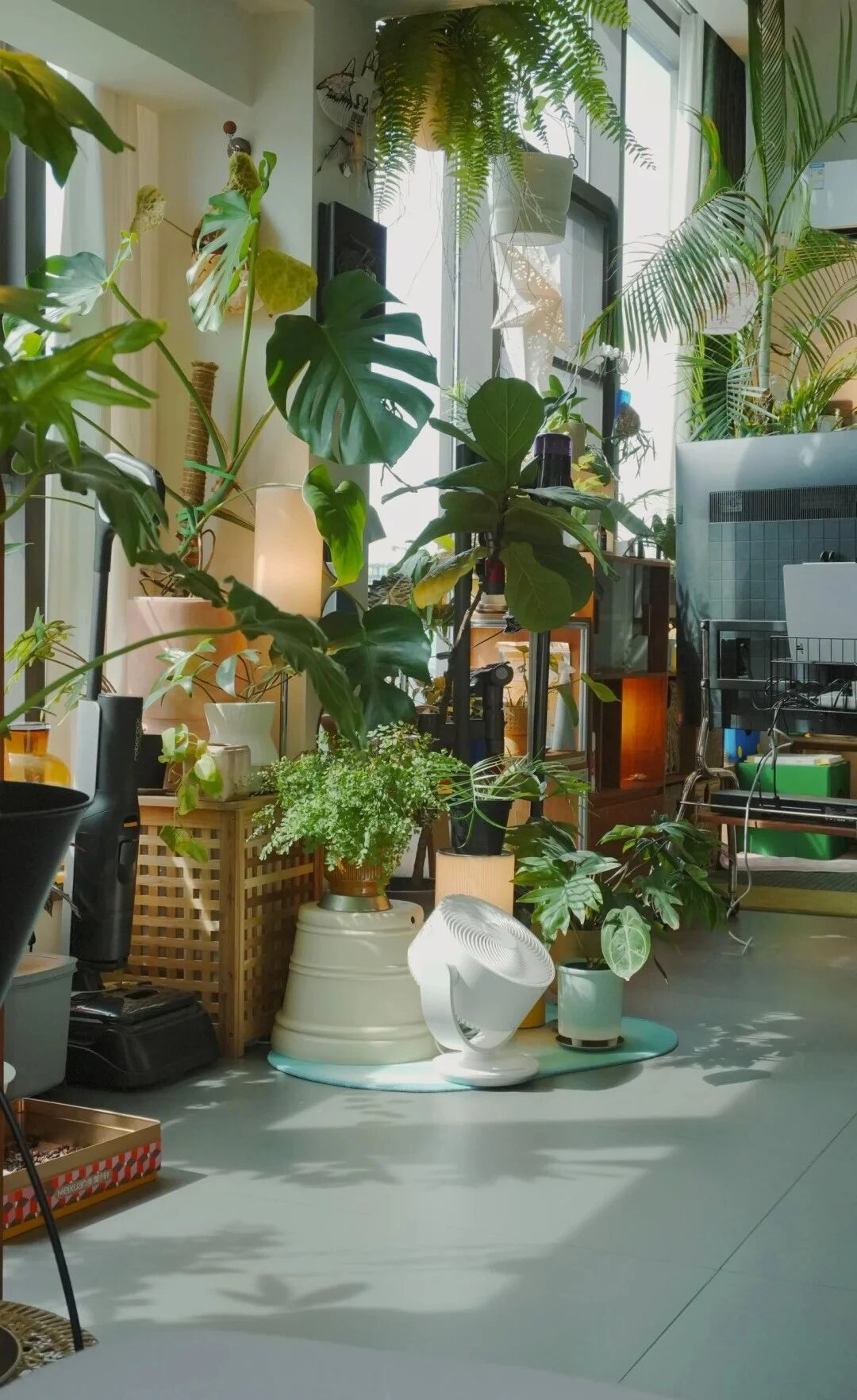 Đây là căn nhà nhiều đồ dùng nhưng gọn nhất mà tôi từng thấy- Ảnh 9. Đây là căn nhà nhiều đồ dùng nhưng gọn nhất mà tôi từng thấy- Ảnh 9.