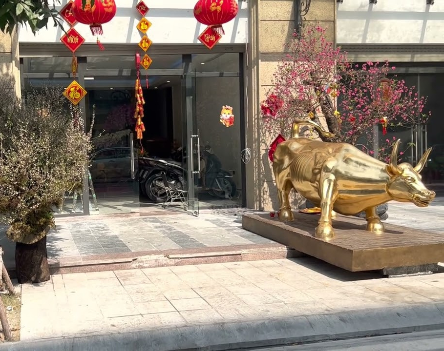 Số vàng mà Huấn Hoa Hồng có- Ảnh 7.