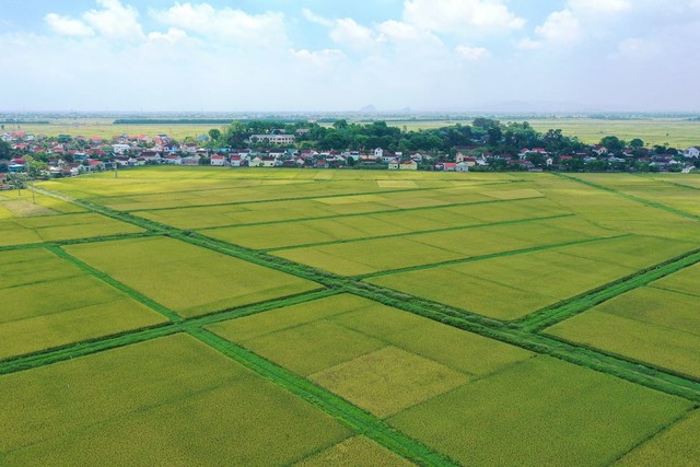 Đối tượng nào được miễn thuế sử dụng đất nông nghiệp đến hết năm 2030?- Ảnh 1.