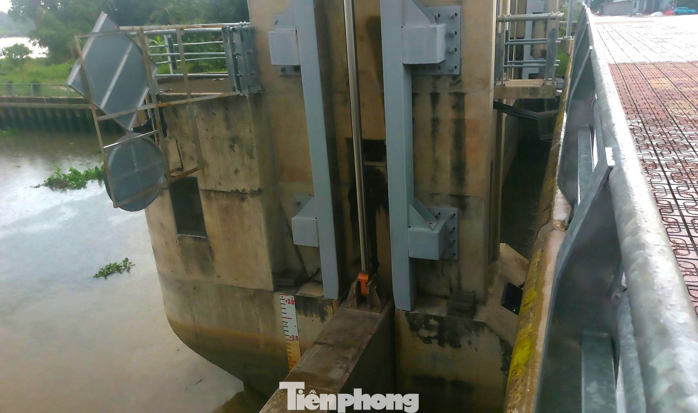 Tận thấy hệ thống tự động ngăn triều, chống ngập phía Bắc TPHCM- Ảnh 4.