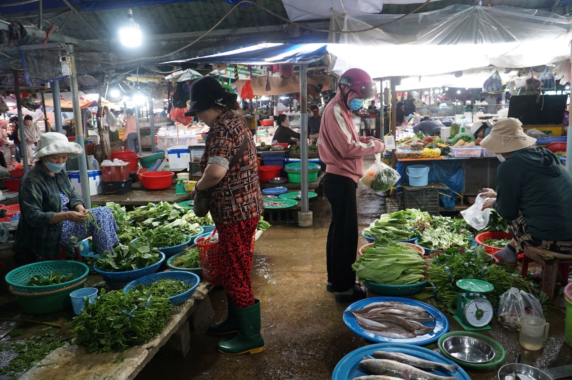 Rau xanh tại Đà Nẵng khan hiếm, giá tăng gấp 2–3 lần- Ảnh 1. Rau xanh tại Đà Nẵng khan hiếm, giá tăng gấp 2–3 lần- Ảnh 1.
