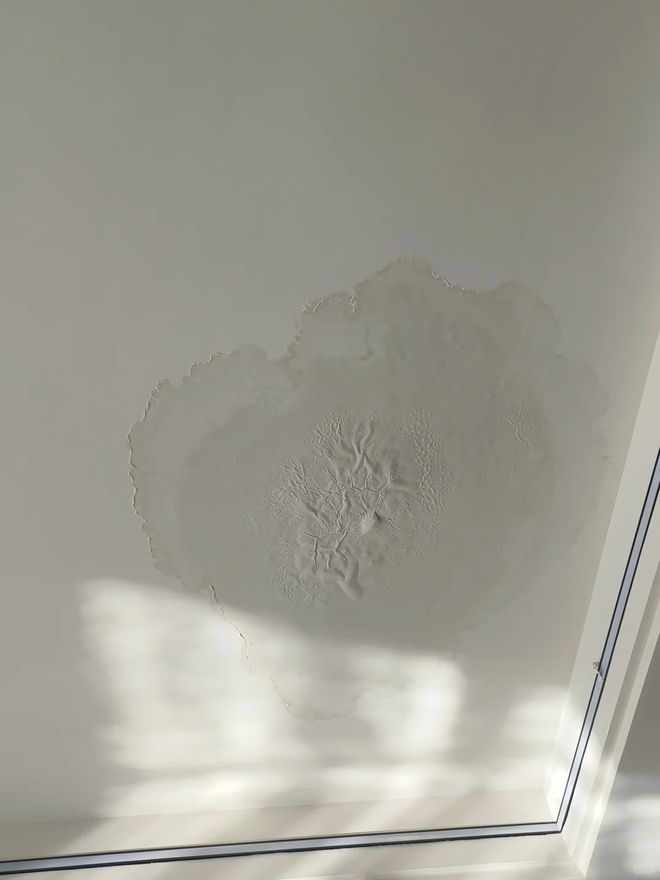 Mua nhà có sân thượng, tôi tưởng sẽ sống như quý cô - ai ngờ chỉ toàn dọn dẹp, tưới cây và lau bụi- Ảnh 2. Mua nhà có sân thượng, tôi tưởng sẽ sống như quý cô - ai ngờ chỉ toàn dọn dẹp, tưới cây và lau bụi- Ảnh 2.