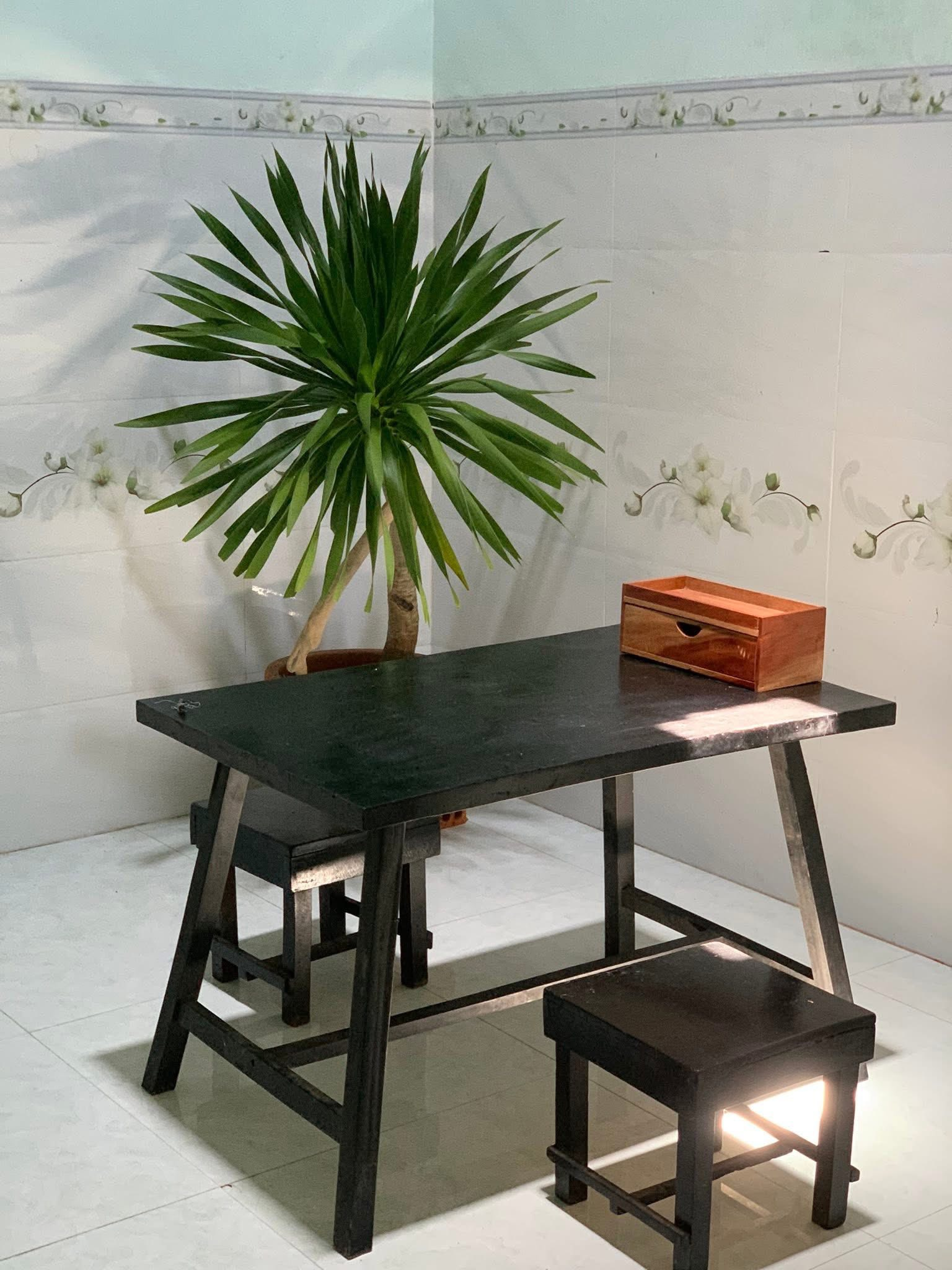 Rời Hà Nội về làng chài Phú Yên, cô gái 25 tuổi biến nhà thuê 2,1 triệu thành tổ ấm đẹp hơn cả resort- Ảnh 15. Rời Hà Nội về làng chài Phú Yên, cô gái 25 tuổi biến nhà thuê 2,1 triệu thành tổ ấm đẹp hơn cả resort- Ảnh 15.