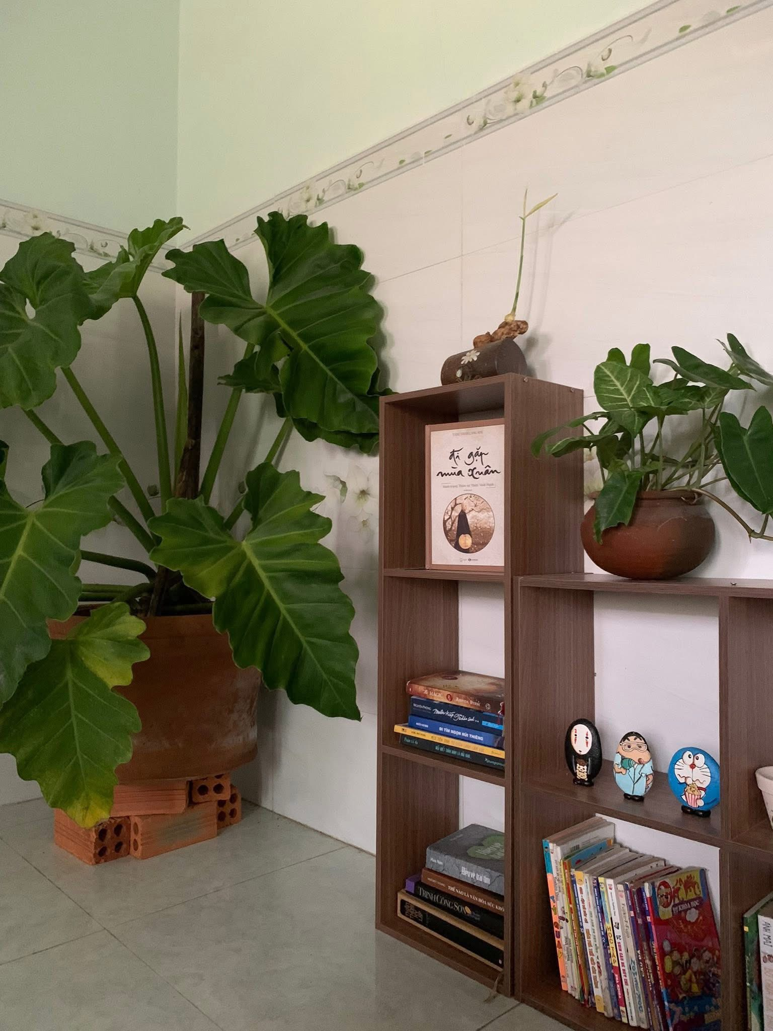 Rời Hà Nội về làng chài Phú Yên, cô gái 25 tuổi biến nhà thuê 2,1 triệu thành tổ ấm đẹp hơn cả resort- Ảnh 17. Rời Hà Nội về làng chài Phú Yên, cô gái 25 tuổi biến nhà thuê 2,1 triệu thành tổ ấm đẹp hơn cả resort- Ảnh 17.