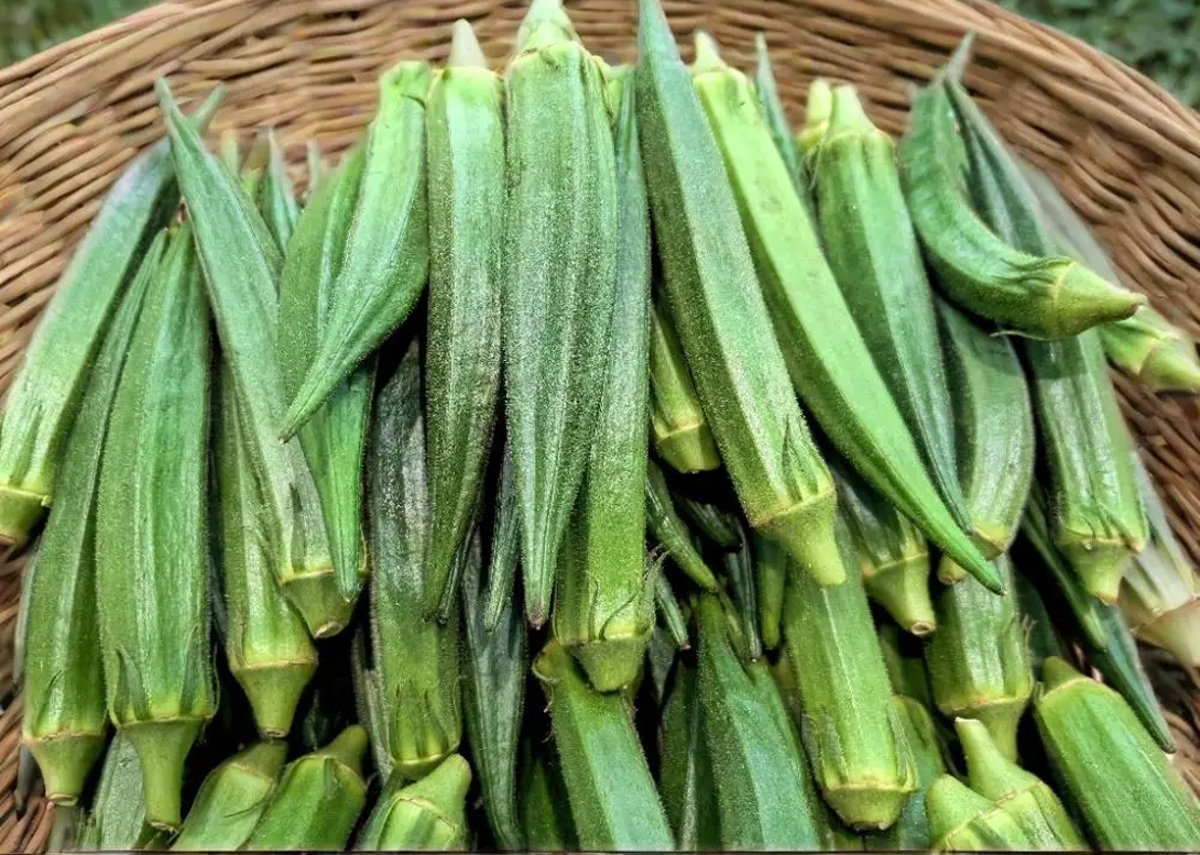 Rau chợ mùa này đầy rẫy hóa chất, nhưng 5 loại rau "ít thuốc, siêu lành" này ai cũng nên ăn- Ảnh 1.