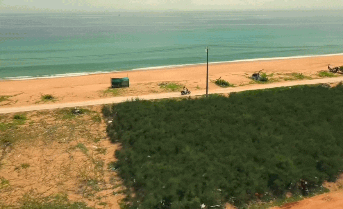 Rời Hà Nội về làng chài Phú Yên, cô gái 25 tuổi biến nhà thuê 2,1 triệu thành tổ ấm đẹp hơn cả resort- Ảnh 2. Rời Hà Nội về làng chài Phú Yên, cô gái 25 tuổi biến nhà thuê 2,1 triệu thành tổ ấm đẹp hơn cả resort- Ảnh 2.