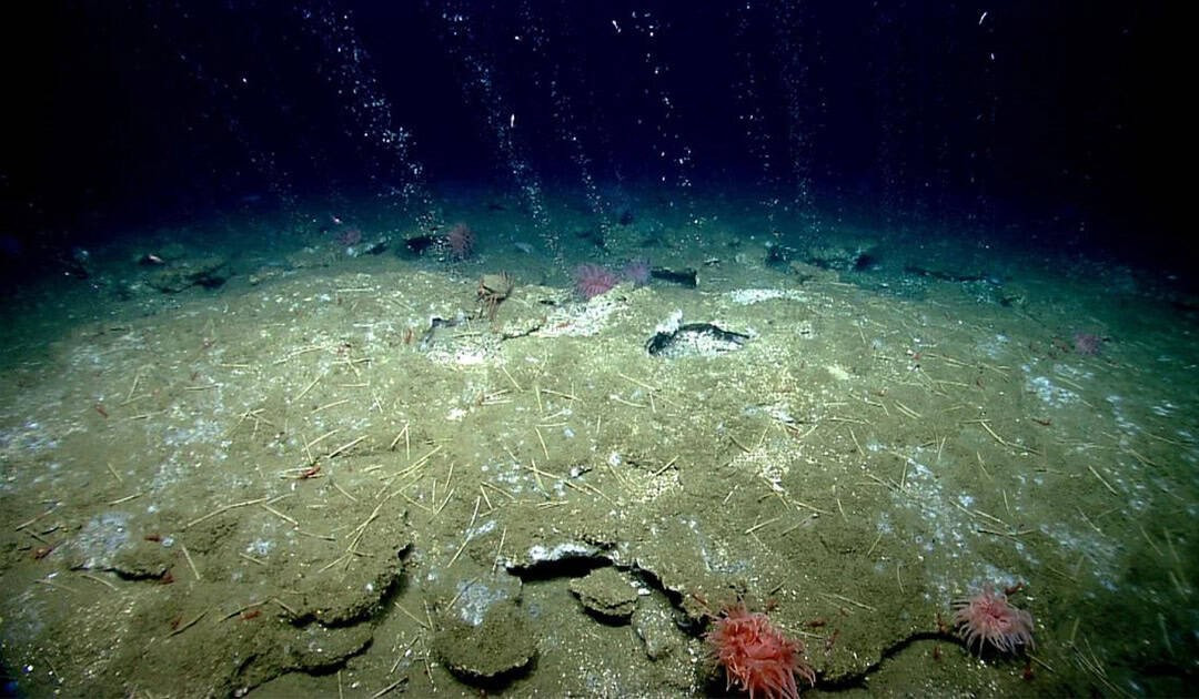 Phát hiện 40 'lỗ thở' bất thường dưới đáy biển Nam Cực, chuyên gia nói: Trái Đất có thể lâm nguy- Ảnh 1.