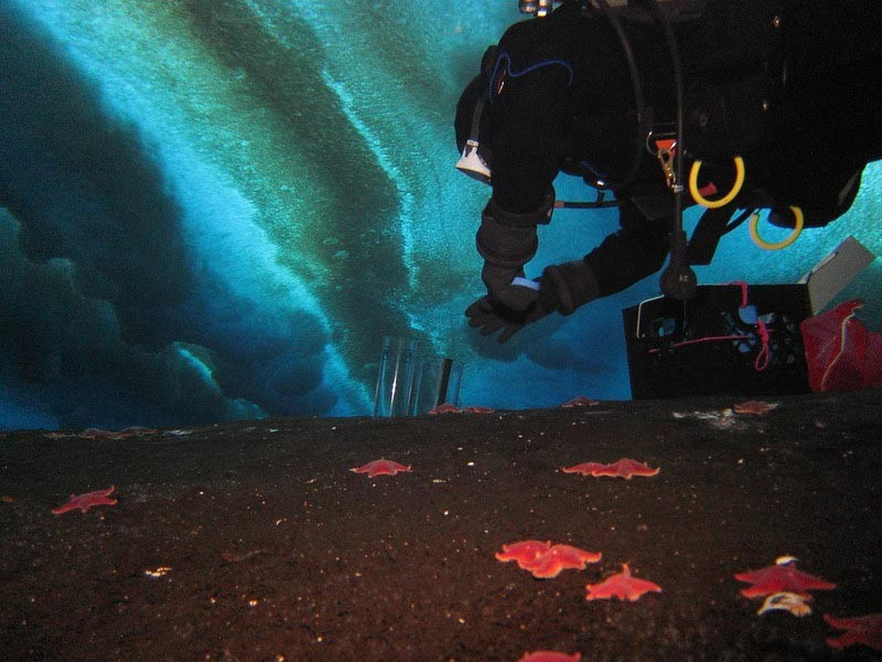 Phát hiện 40 'lỗ thở' bất thường dưới đáy biển Nam Cực, chuyên gia nói: Trái Đất có thể lâm nguy- Ảnh 2.