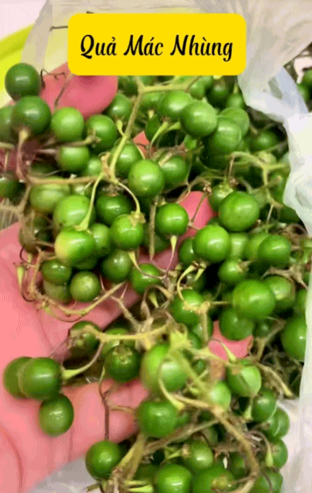 Quả mắc nhung là gì mà ai lên Sơn La cũng muốn thử một lần cho biết?- Ảnh 1. Quả mắc nhung là gì mà ai lên Sơn La cũng muốn thử một lần cho biết?- Ảnh 1.