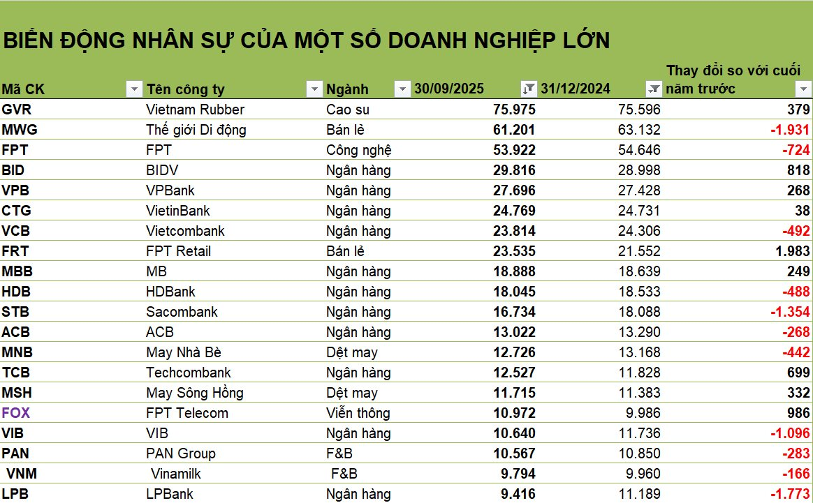 Làn sóng 'cắt' nhân sự 9T2025: 1 công ty giảm gần 2.500 người, 3 ngân hàng giảm hơn 1.000 người, FPT Retail tăng gần 2.000 người- Ảnh 1.