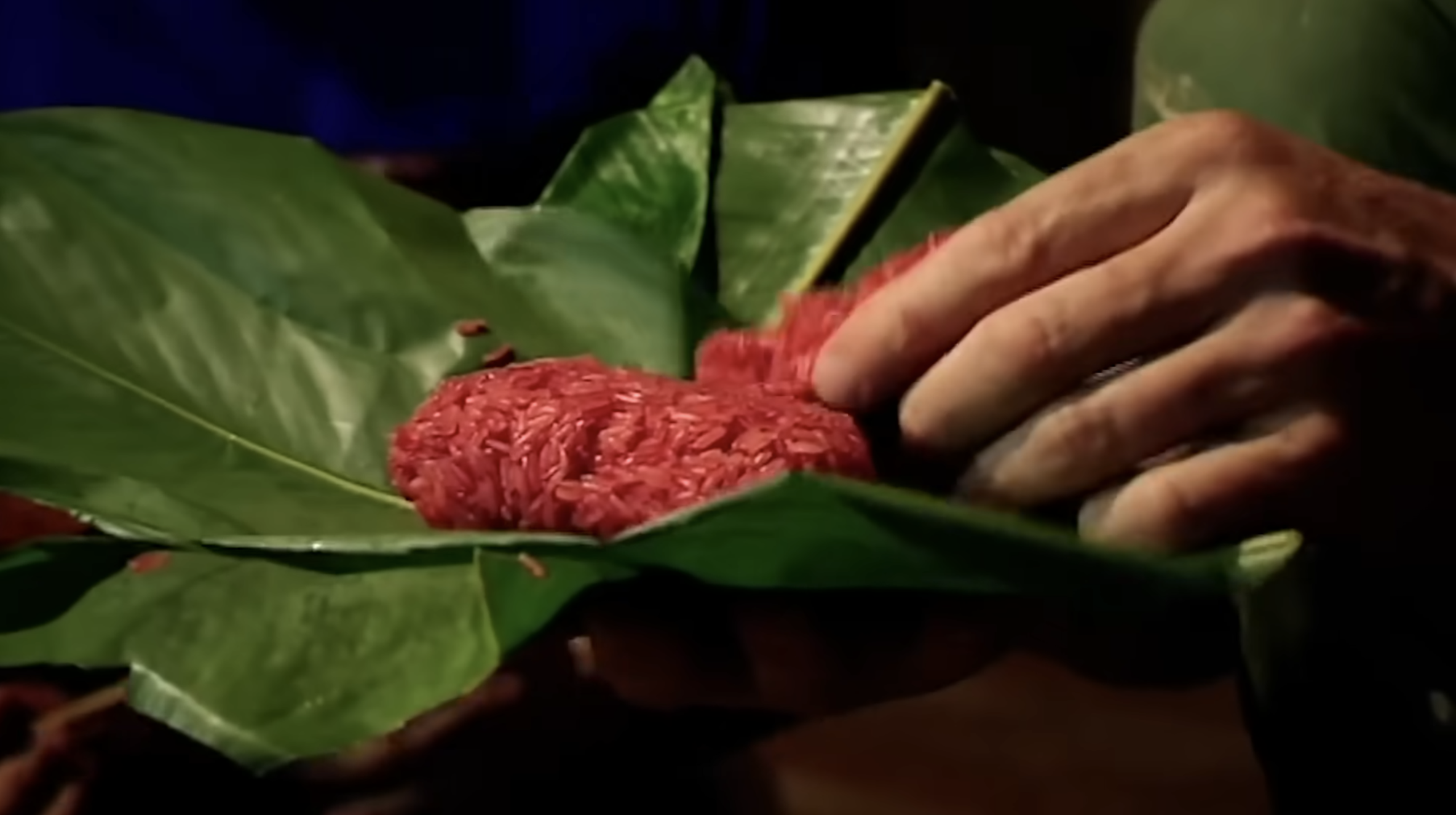 Đầu bếp 17 sao Michelin thế giới ngồi khúm núm ăn xôi ở Việt Nam- Ảnh 9. Đầu bếp 17 sao Michelin thế giới ngồi khúm núm ăn xôi ở Việt Nam- Ảnh 9.