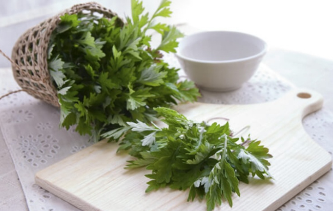 Việt Nam sở hữu loại rau "vàng xanh", tốt cho xương khớp, bồi bổ tăng đề kháng hiệu quả- Ảnh 1.