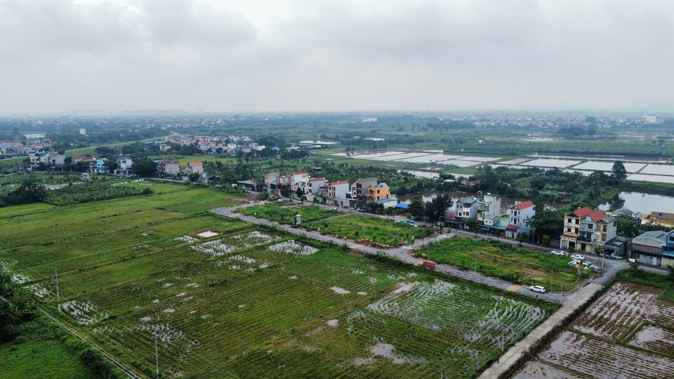 Kéo dài miễn thuế sử dụng đất nông nghiệp thêm 5 năm- Ảnh 1.