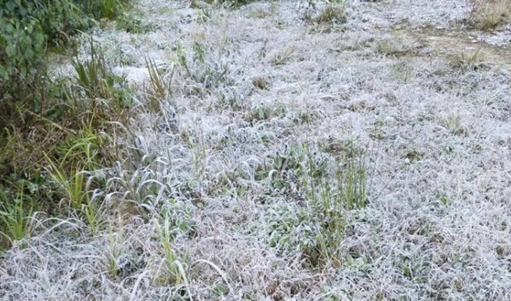 Nhiệt độ xuống dưới 0 độ C, băng giá xuất hiện ở miền núi Nghệ An- Ảnh 1. Nhiệt độ xuống dưới 0 độ C, băng giá xuất hiện ở miền núi Nghệ An- Ảnh 1.