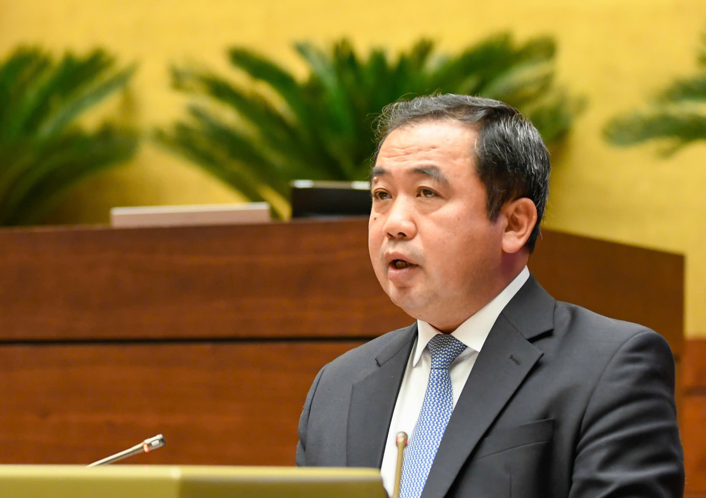 Đất hiếm phân bổ tại 21 tỉnh, thành: Bộ trưởng nói sẽ có chiến lược quốc gia về đất hiếm- Ảnh 1.