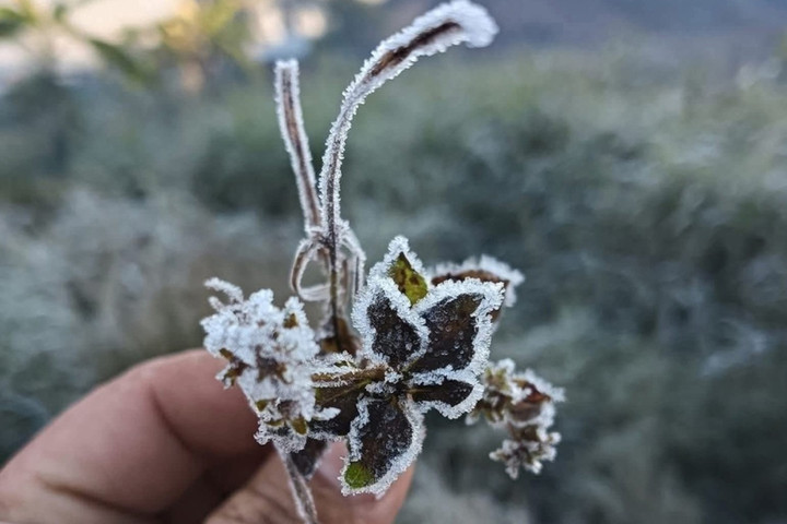 Nhiệt độ xuống dưới 0 độ C, băng giá xuất hiện ở miền núi Nghệ An- Ảnh 2. Nhiệt độ xuống dưới 0 độ C, băng giá xuất hiện ở miền núi Nghệ An- Ảnh 2.