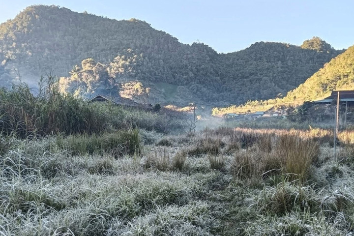 Nhiệt độ xuống dưới 0 độ C, băng giá xuất hiện ở miền núi Nghệ An- Ảnh 3. Nhiệt độ xuống dưới 0 độ C, băng giá xuất hiện ở miền núi Nghệ An- Ảnh 3.