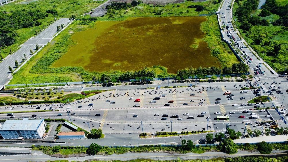 Bảng giá đất mới TPHCM: Giá đất nông nghiệp dự kiến tăng mạnh- Ảnh 1.