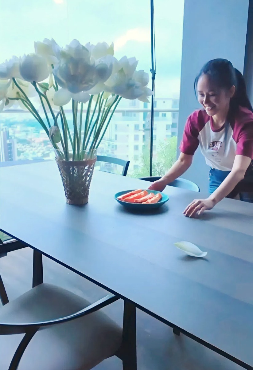 Penthouse của diva Hồng Nhung- Ảnh 4.